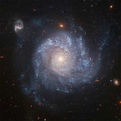 Photograph of NGC 1309