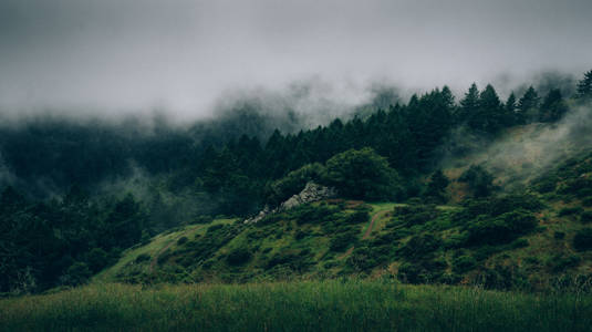 Misty landscape